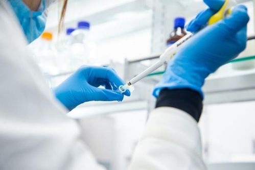 華熙生物趙燕 堅(jiān)定的做好兩個(gè)研究,筑牢企業(yè)科技創(chuàng)新根基