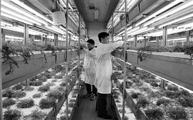 經(jīng)濟日報多媒體數(shù)字報刊