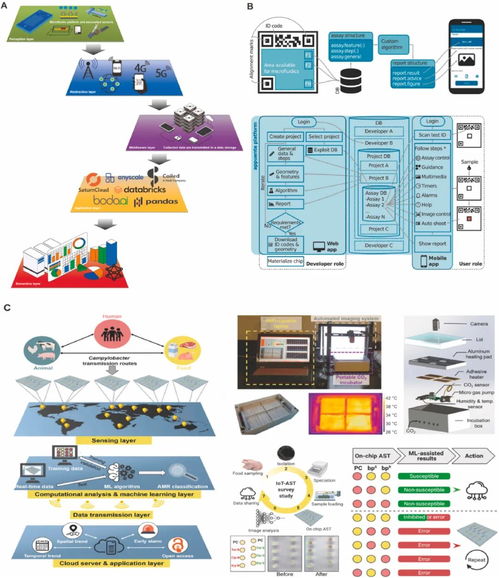 用于微生物病原體即時檢測的材料功能化微流控系統(tǒng)研究進展