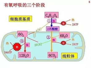 聚焦丨2019年物理 生理學諾貝爾獎項公布,涉及高考相關(guān)知識點